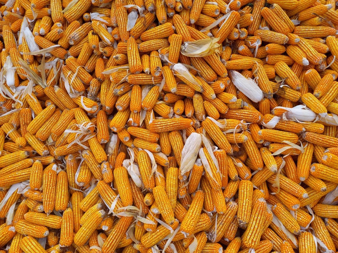 Market Access & Aggregation
