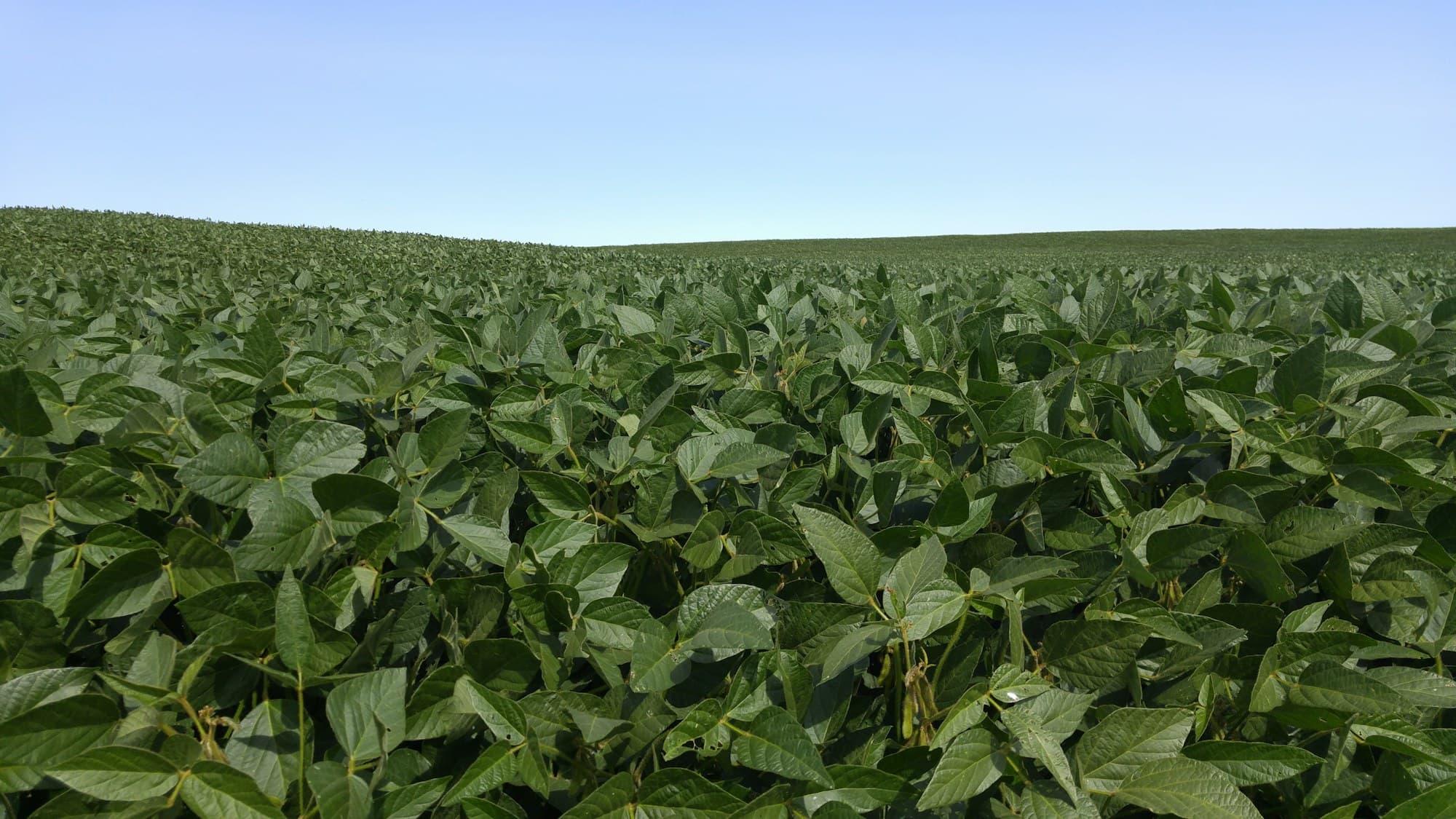 Climate-Smart Agriculture